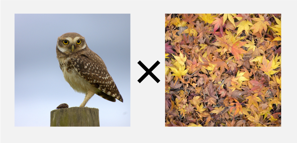 f:id:chime-n:20190420201131p:plain f:id:chime-n:20190420201131p:plain