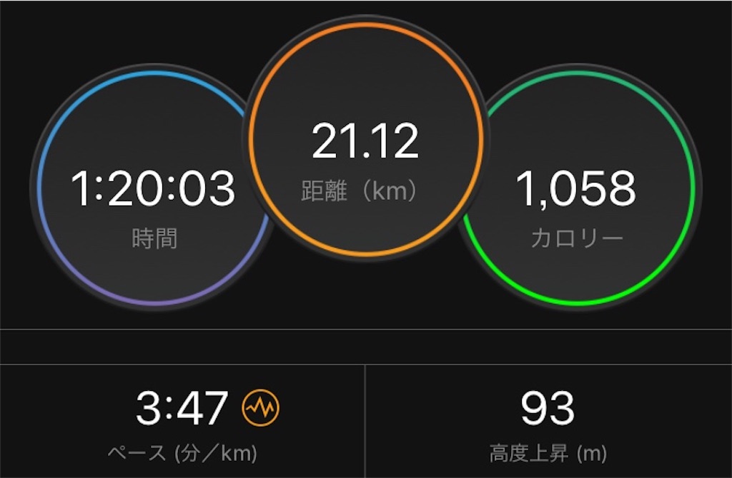 f:id:chiminosuke:20190212214358j:image