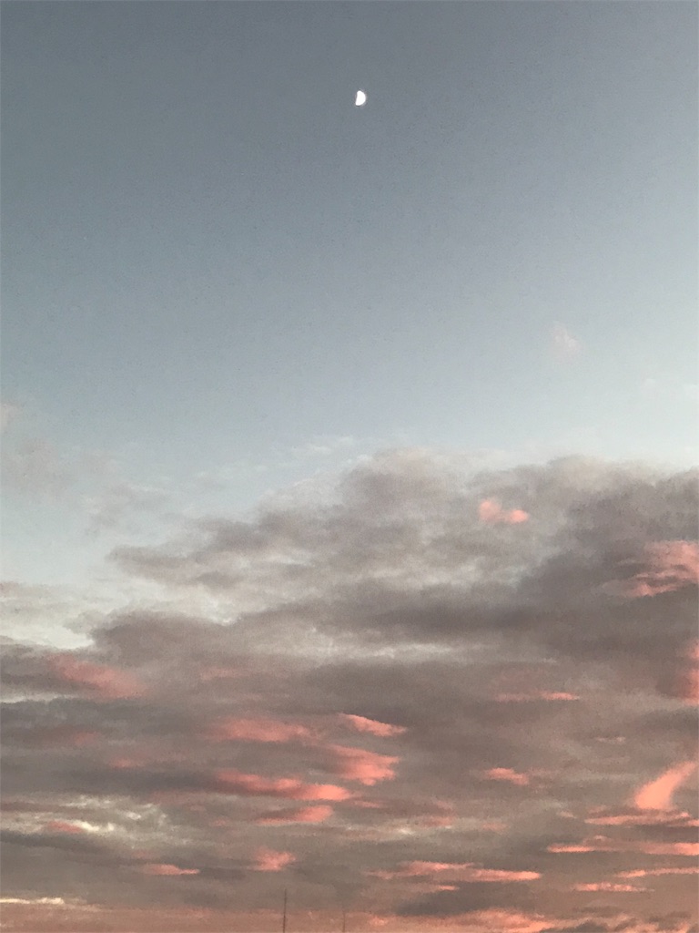 f:id:chimmy_13:20190810204414j:image f:id:chimmy_13:20190810204414j:image
