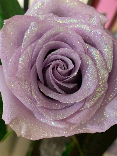 f:id:chimunta:20201101051700j:image