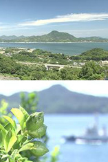 f:id:chimusan:20120902192240j:image:left