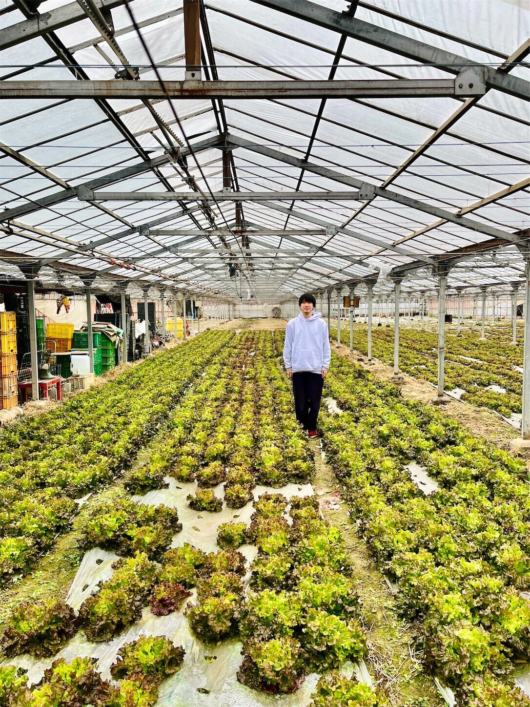 f:id:chin4x5x0:20240309023854j:image f:id:chin4x5x0:20240309023854j:image