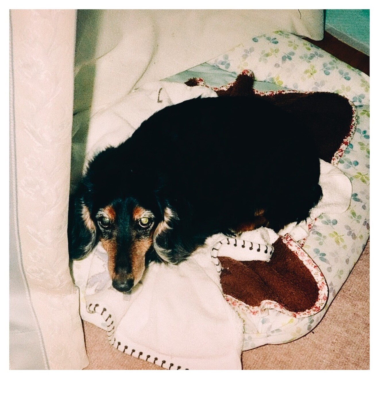 f:id:chin4x5x0:20240409021638j:image f:id:chin4x5x0:20240409021638j:image