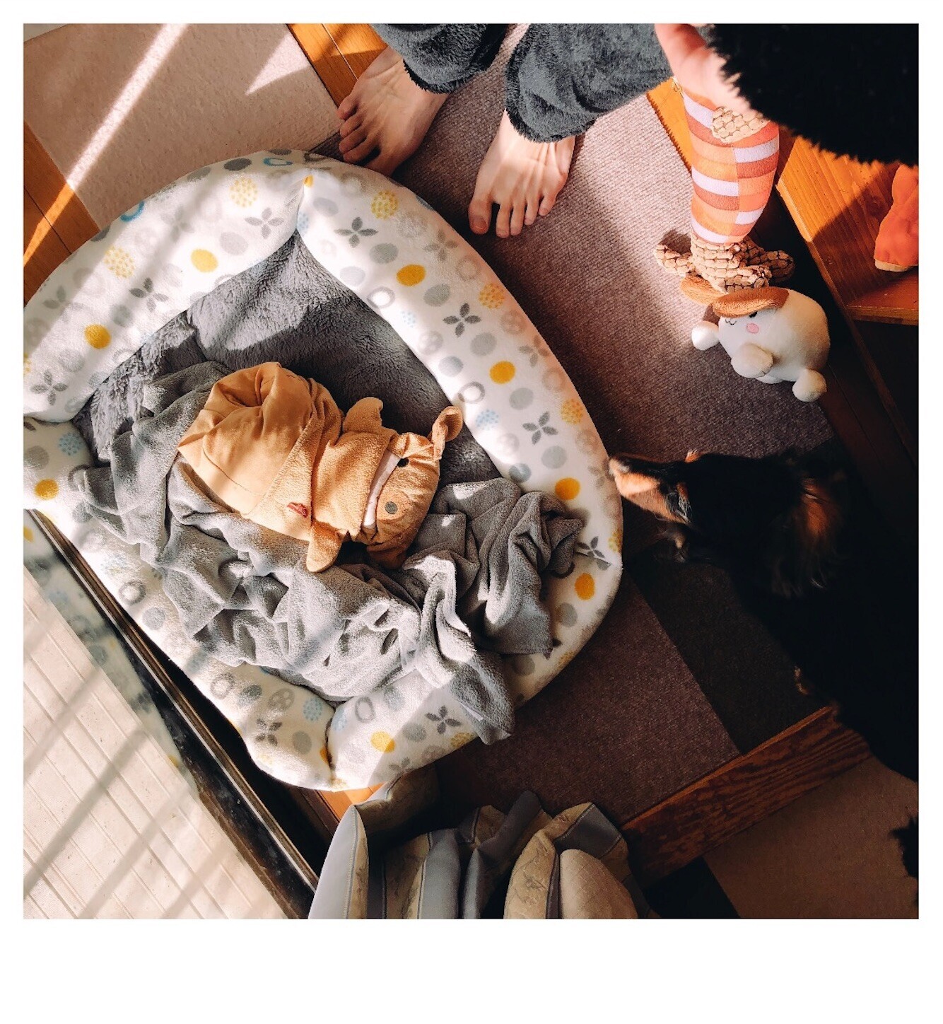 f:id:chin4x5x0:20240409021719j:image f:id:chin4x5x0:20240409021719j:image