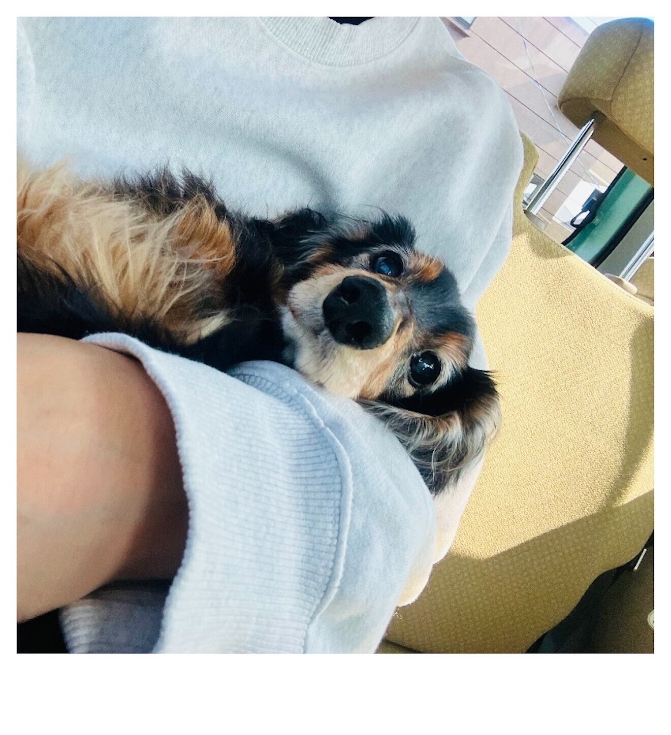 f:id:chin4x5x0:20240409021753j:image f:id:chin4x5x0:20240409021753j:image