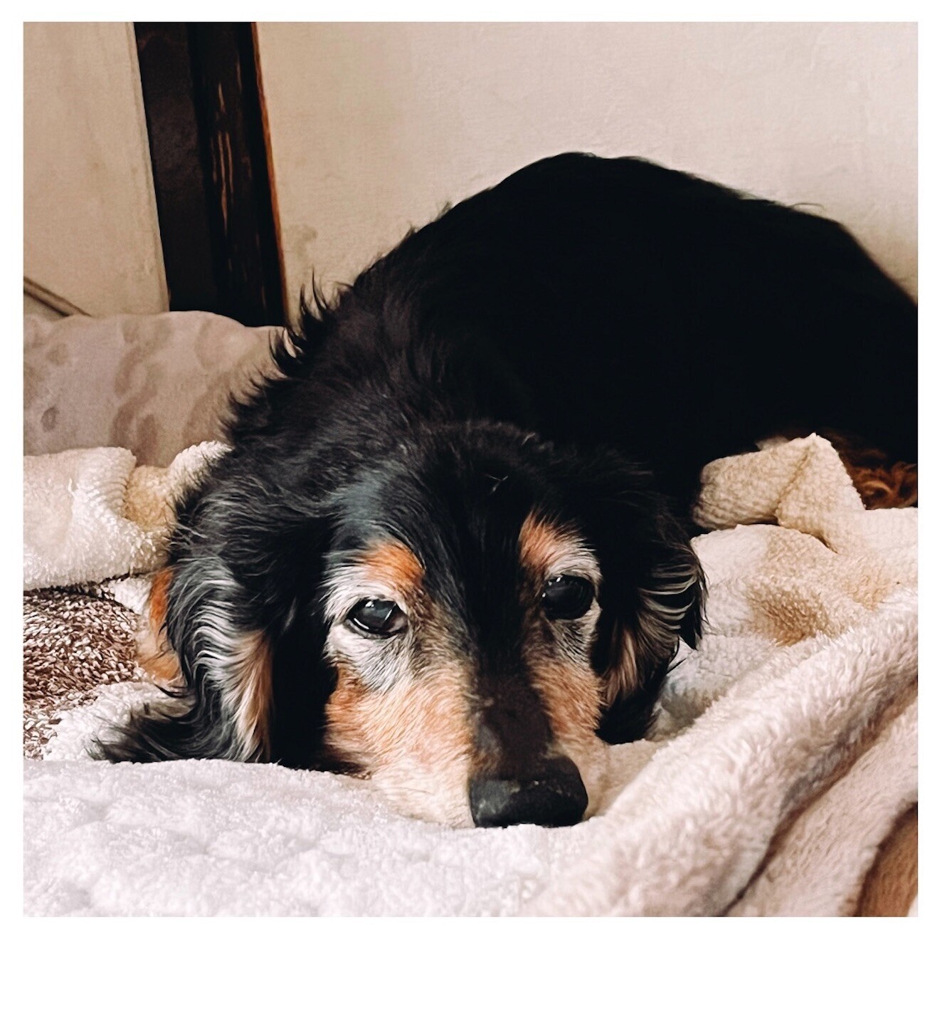 f:id:chin4x5x0:20240409021920j:image f:id:chin4x5x0:20240409021920j:image