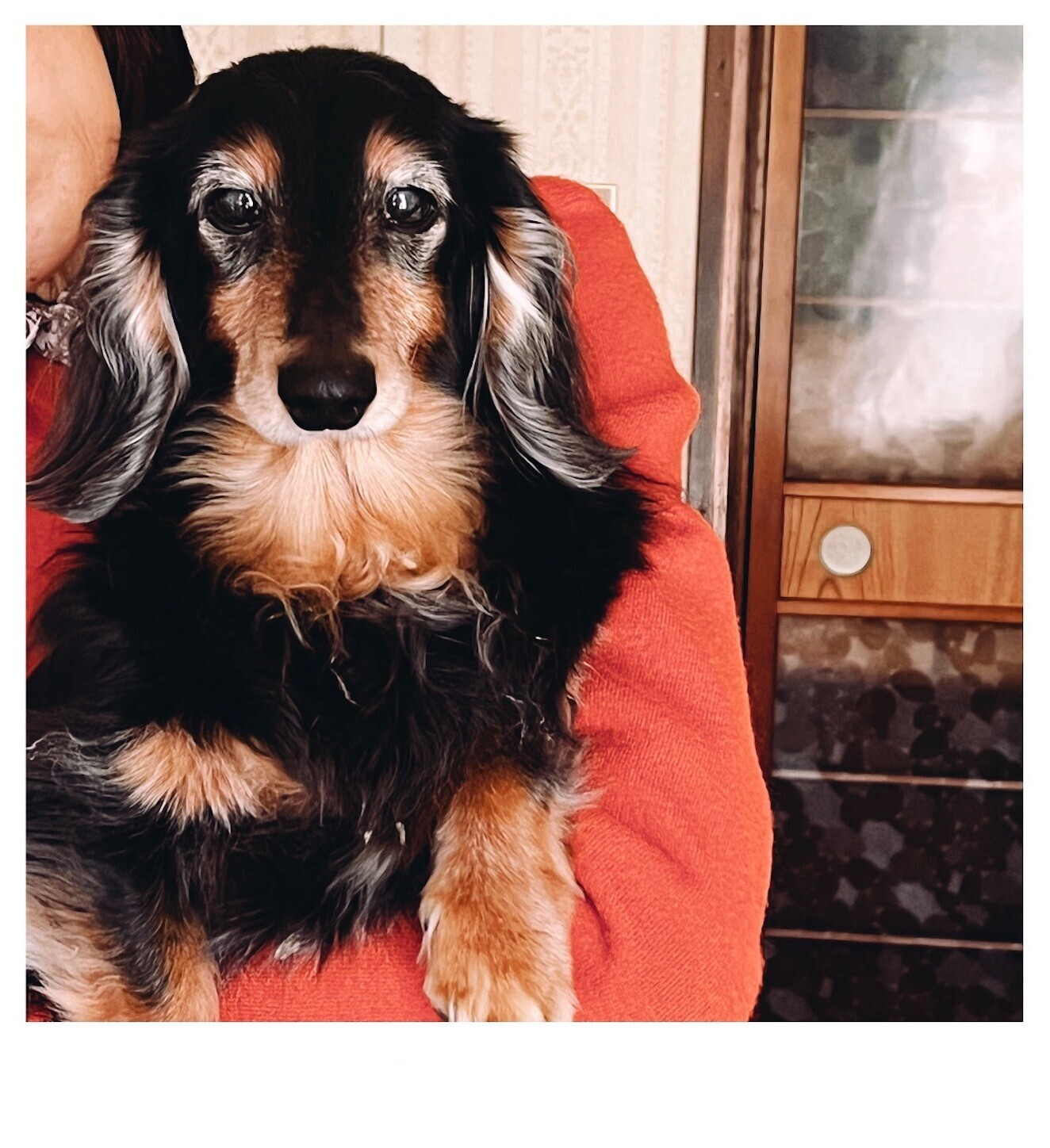 f:id:chin4x5x0:20240409022028j:image f:id:chin4x5x0:20240409022028j:image