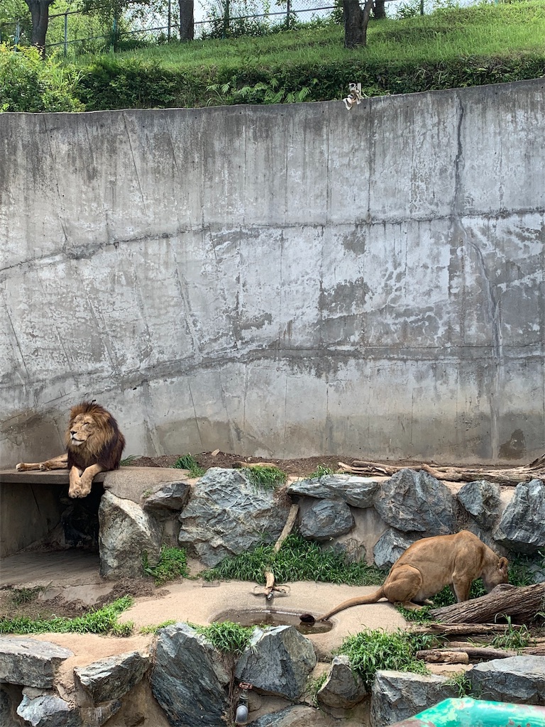 f:id:chinamk:20190716212218j:image f:id:chinamk:20190716212218j:image