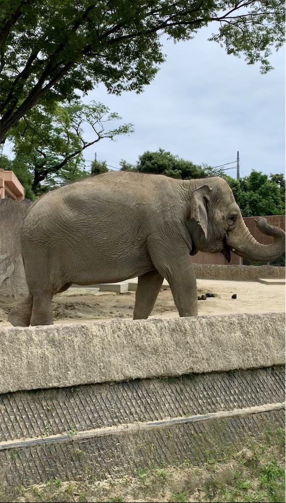 f:id:chinamk:20190717113019j:image f:id:chinamk:20190717113019j:image