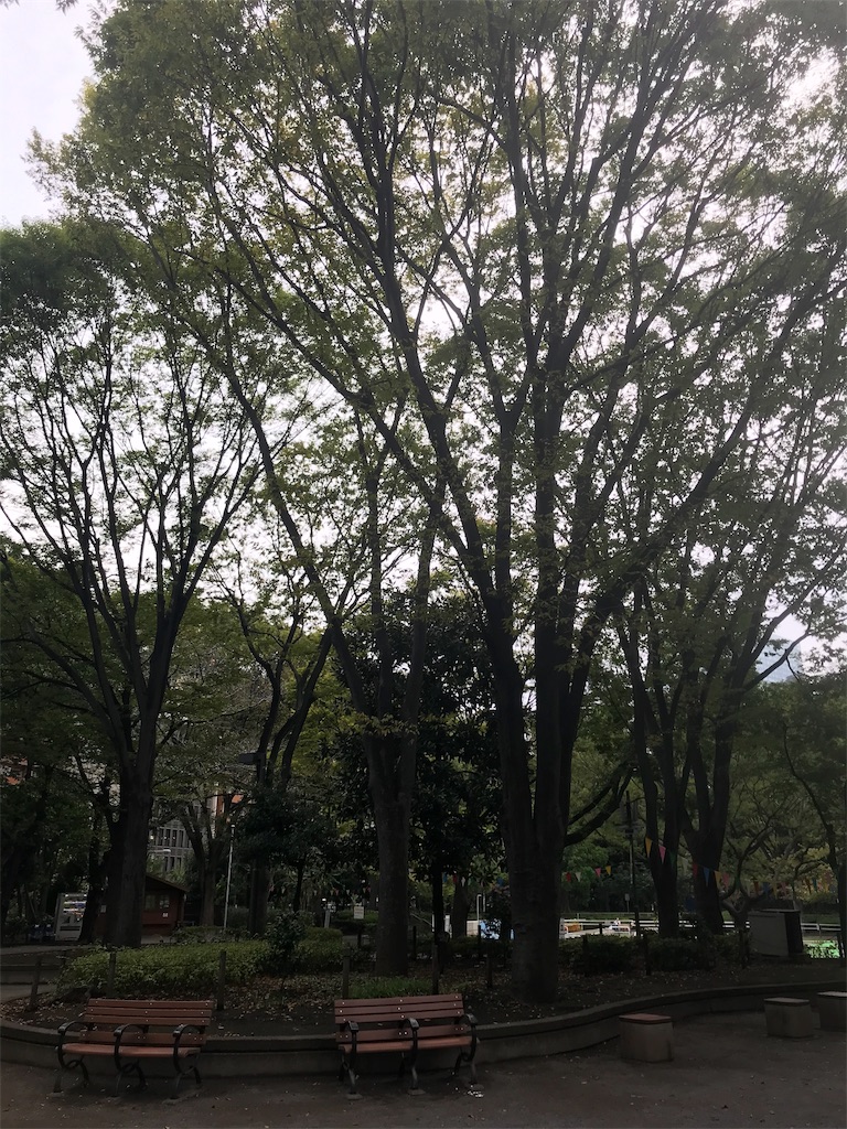 f:id:chinasuki:20191017075859j:image