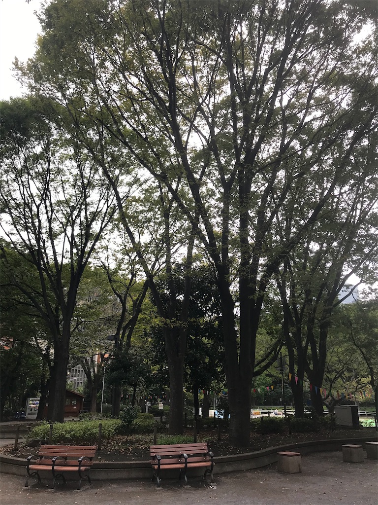 f:id:chinasuki:20191017075933j:image