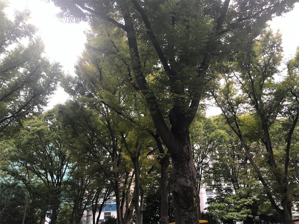 f:id:chinasuki:20191017075952j:image