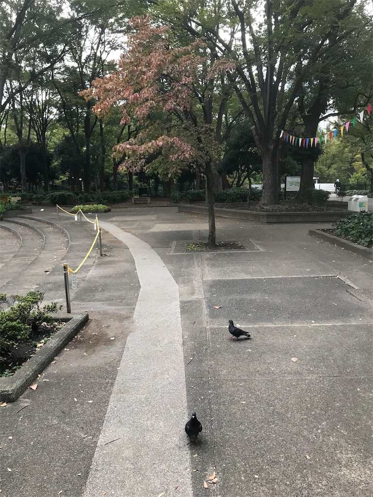 f:id:chinasuki:20191017080011j:image