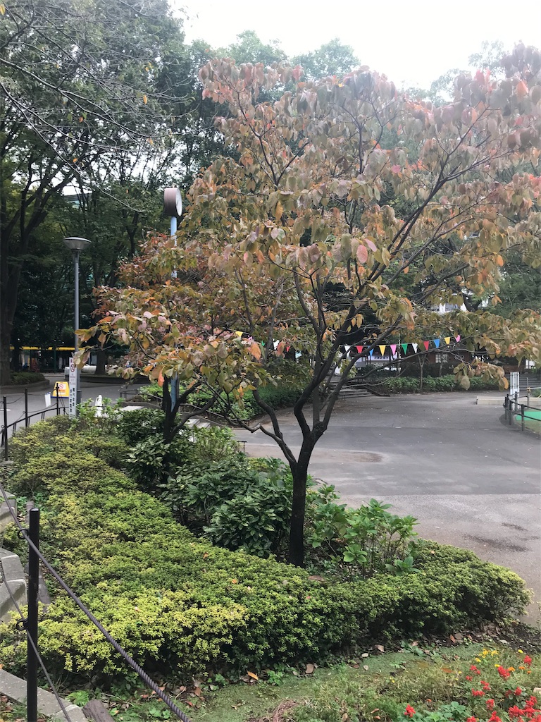 f:id:chinasuki:20191017081935j:image
