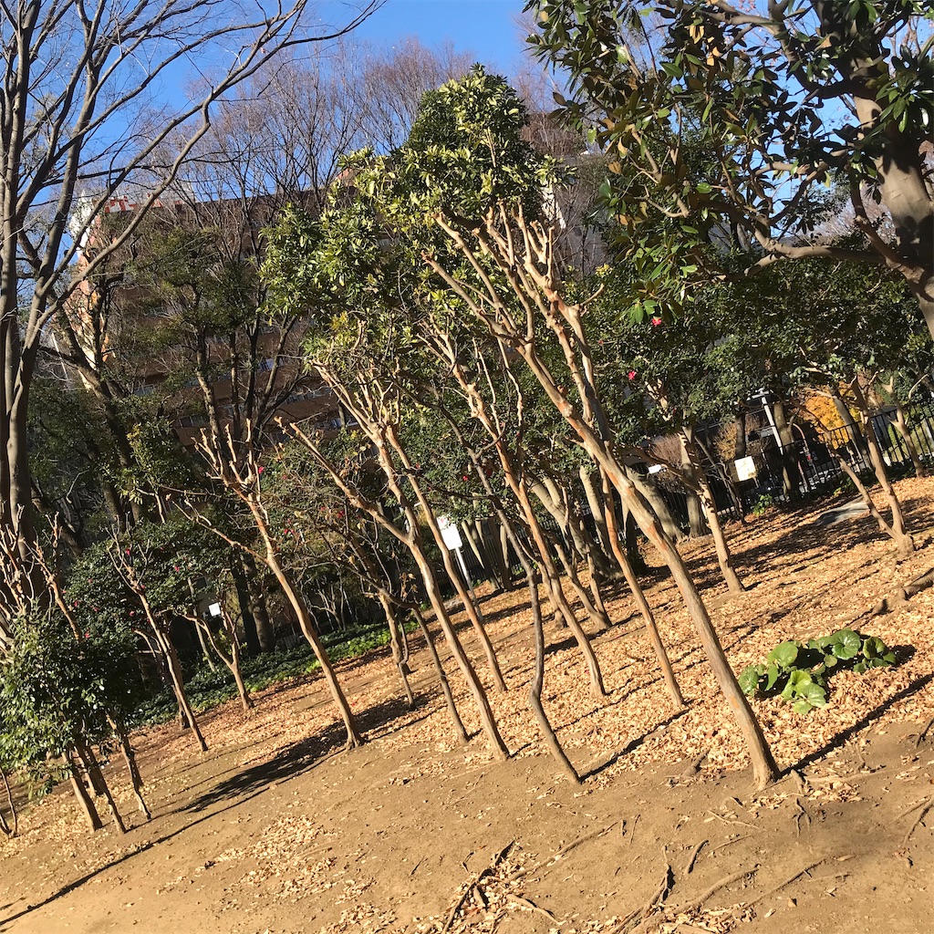 f:id:chinasuki:20201222122831j:image