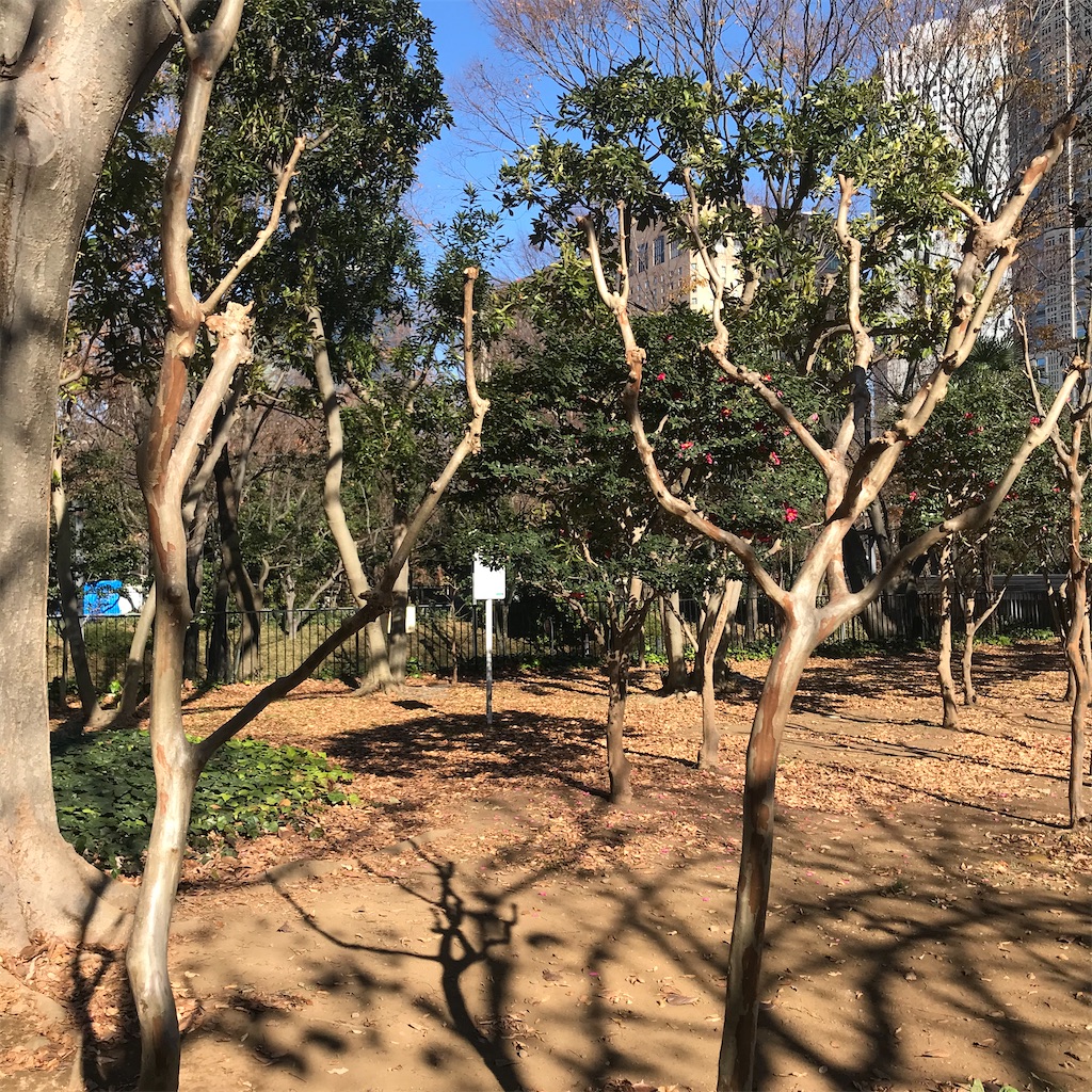 f:id:chinasuki:20201222122916j:image