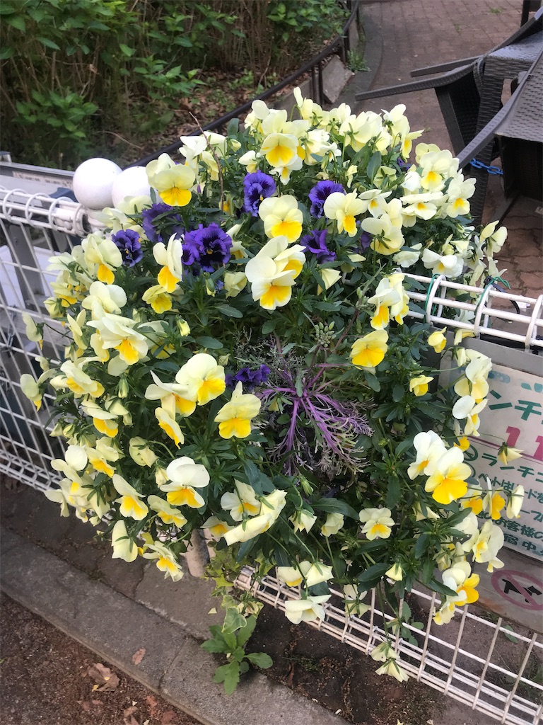 紹介 施設 新宿中央公園ランチコーナーにある花壇を紹介するよ Chinasukiのブログ