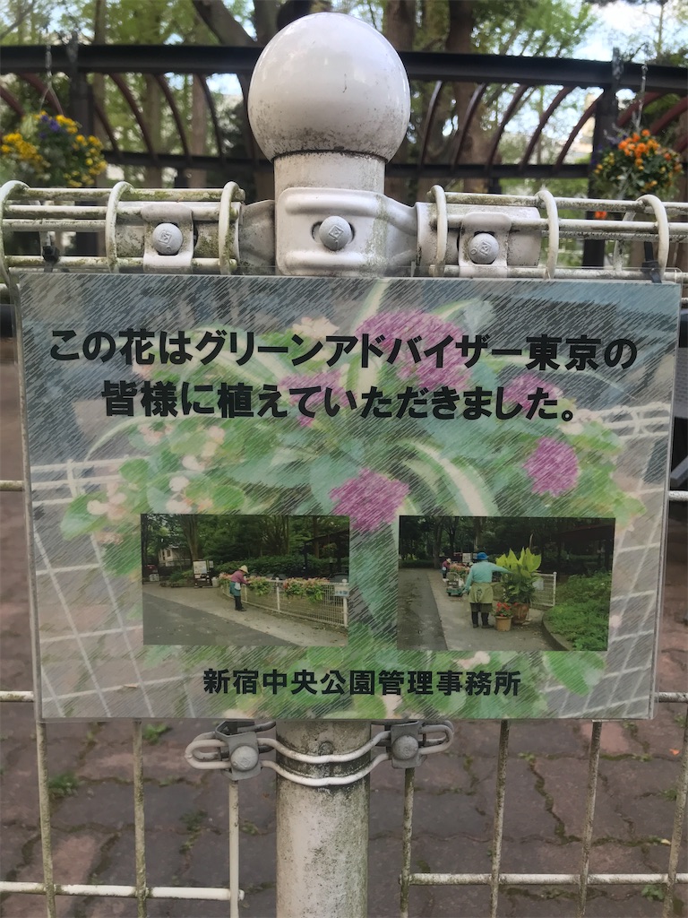 紹介 施設 新宿中央公園ランチコーナーにある花壇を紹介するよ Chinasukiのブログ