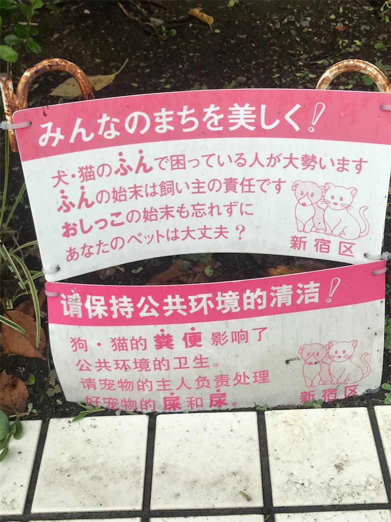 f:id:chinasuki:20211013190917j:image