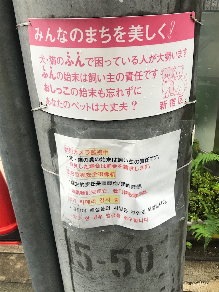 f:id:chinasuki:20211013190927j:image