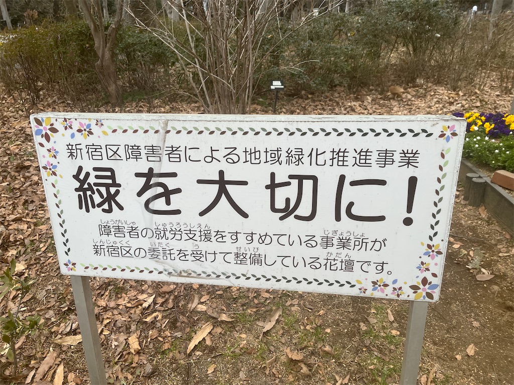 紹介 花壇 冬の時期花壇の花が綺麗に咲いているよ Chinasukiのブログ
