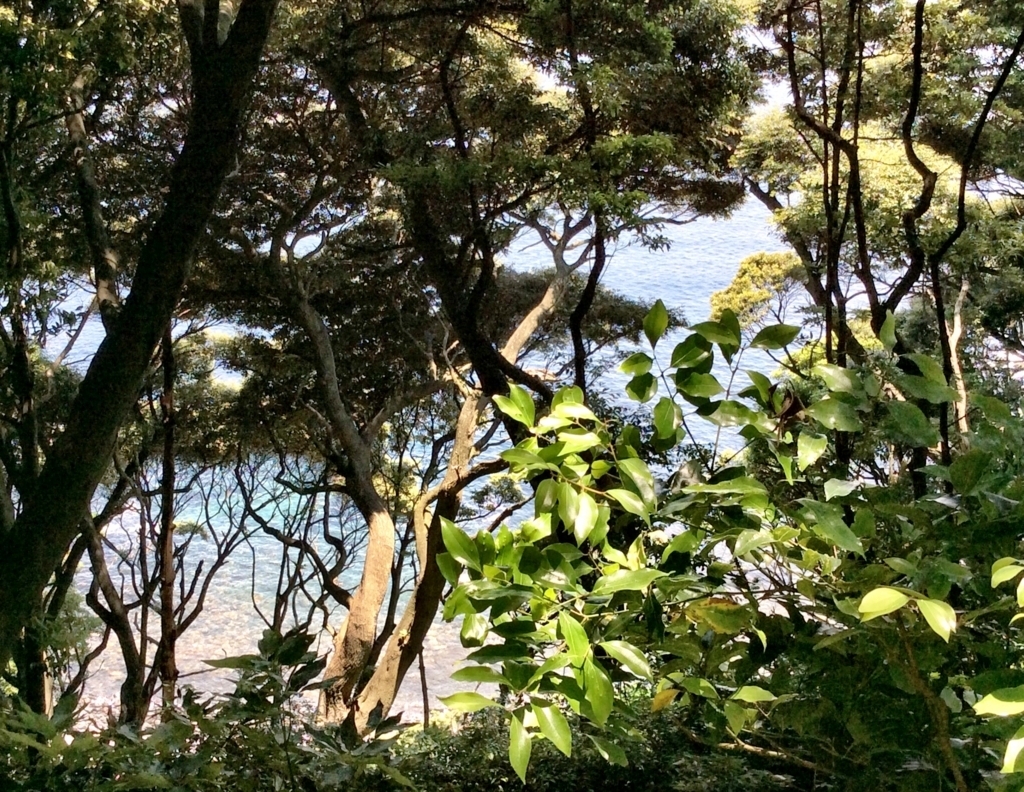 f:id:chinatsuko612:20170617140324j:plain f:id:chinatsuko612:20170617140324j:plain