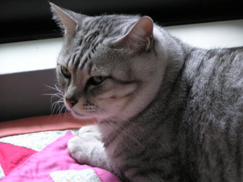 f:id:chinjuh:20050920112211j:image