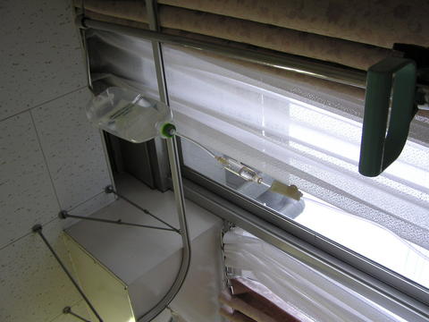 f:id:chinjuh:20060830132946j:image