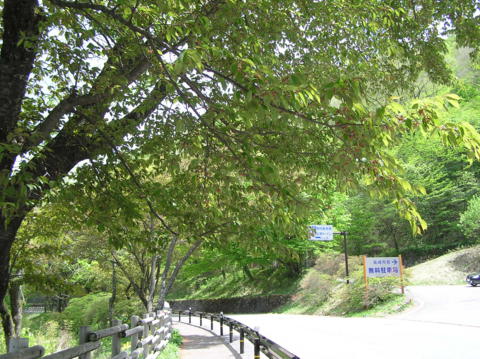 f:id:chinjuh:20090515064433j:image