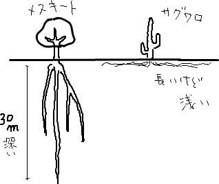 f:id:chinjuh:20091215131239j:image