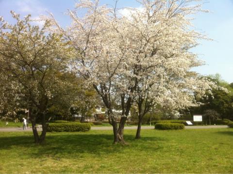 f:id:chinjuh:20110415094741j:image f:id:chinjuh:20110415094741j:image