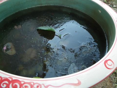 f:id:chinjuh:20111227110406j:image