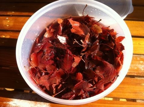f:id:chinjuh:20120105110711j:image f:id:chinjuh:20120105110711j:image