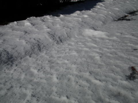 f:id:chinjuh:20120125014722j:image