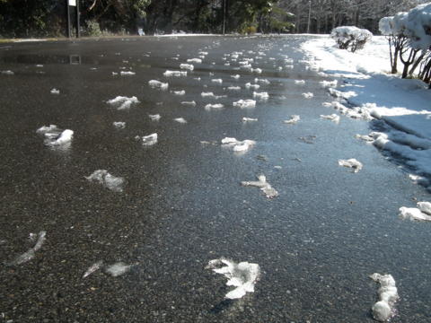f:id:chinjuh:20120125014727j:image