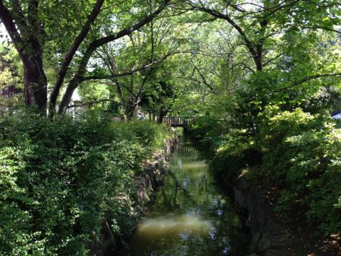 f:id:chinjuh:20130521081518j:image
