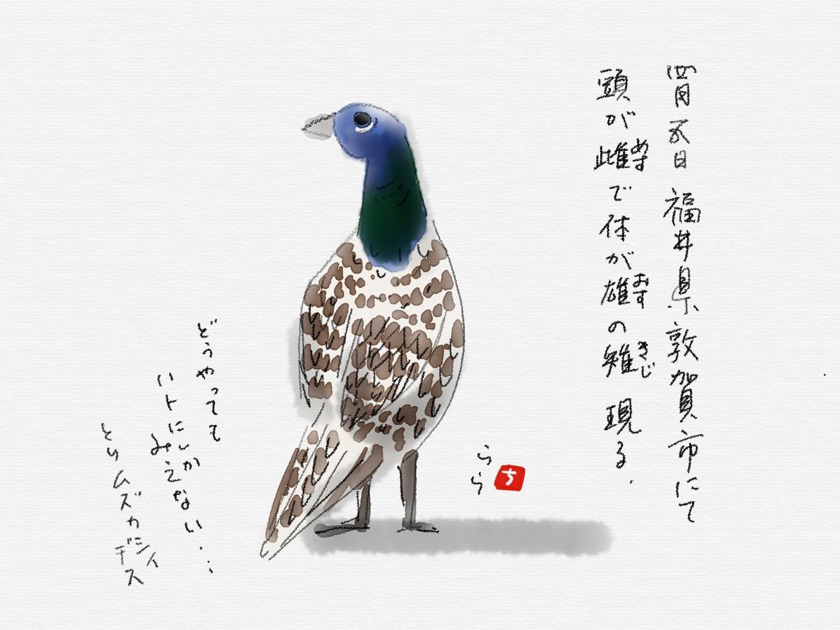 f:id:chinjuh:20201023203846j:plain f:id:chinjuh:20201023203846j:plain