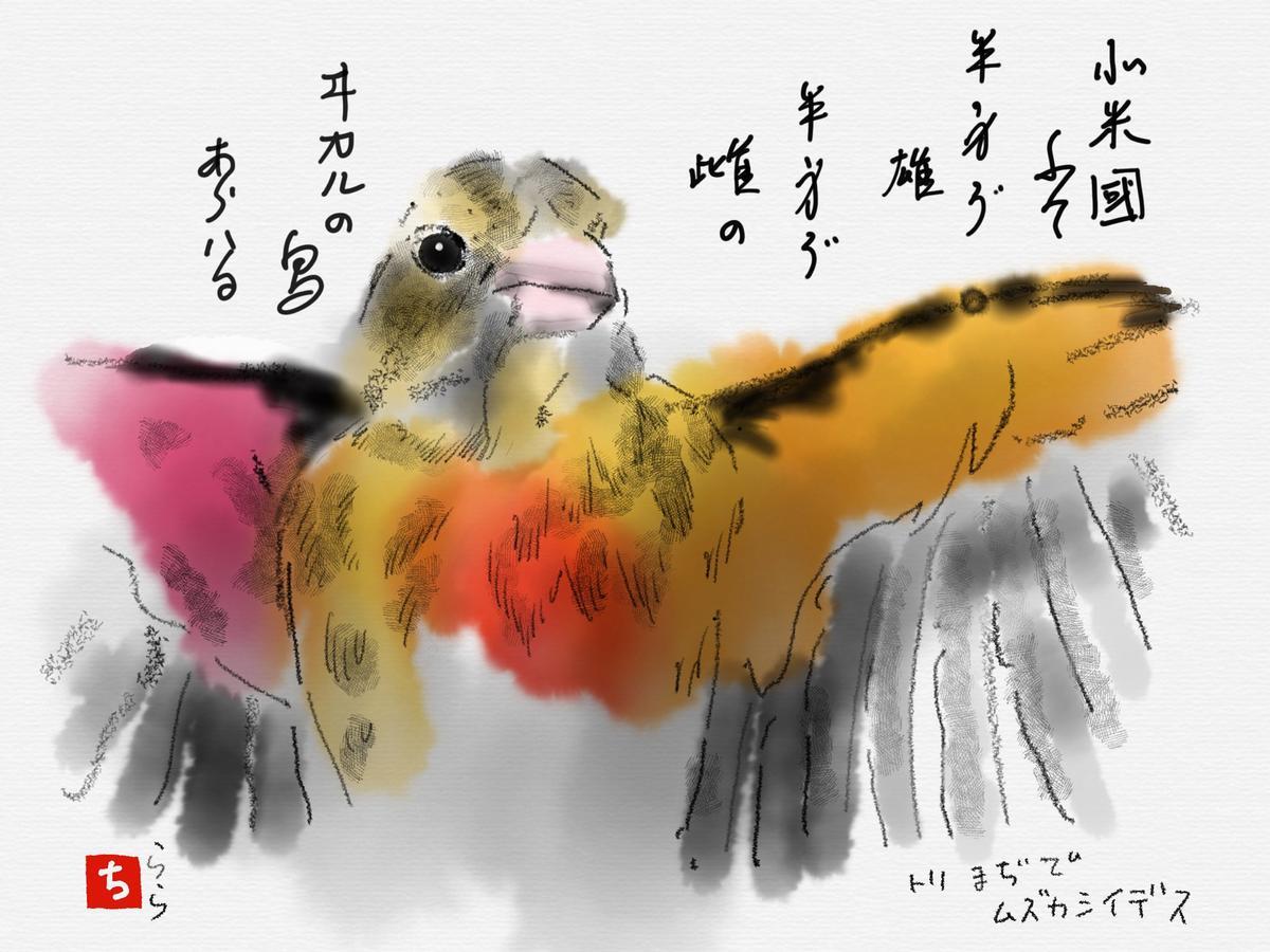 f:id:chinjuh:20201023204440j:plain f:id:chinjuh:20201023204440j:plain
