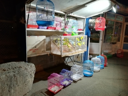 f:id:chinkara-hoi:20191212054701j:plain f:id:chinkara-hoi:20191212054701j:plain