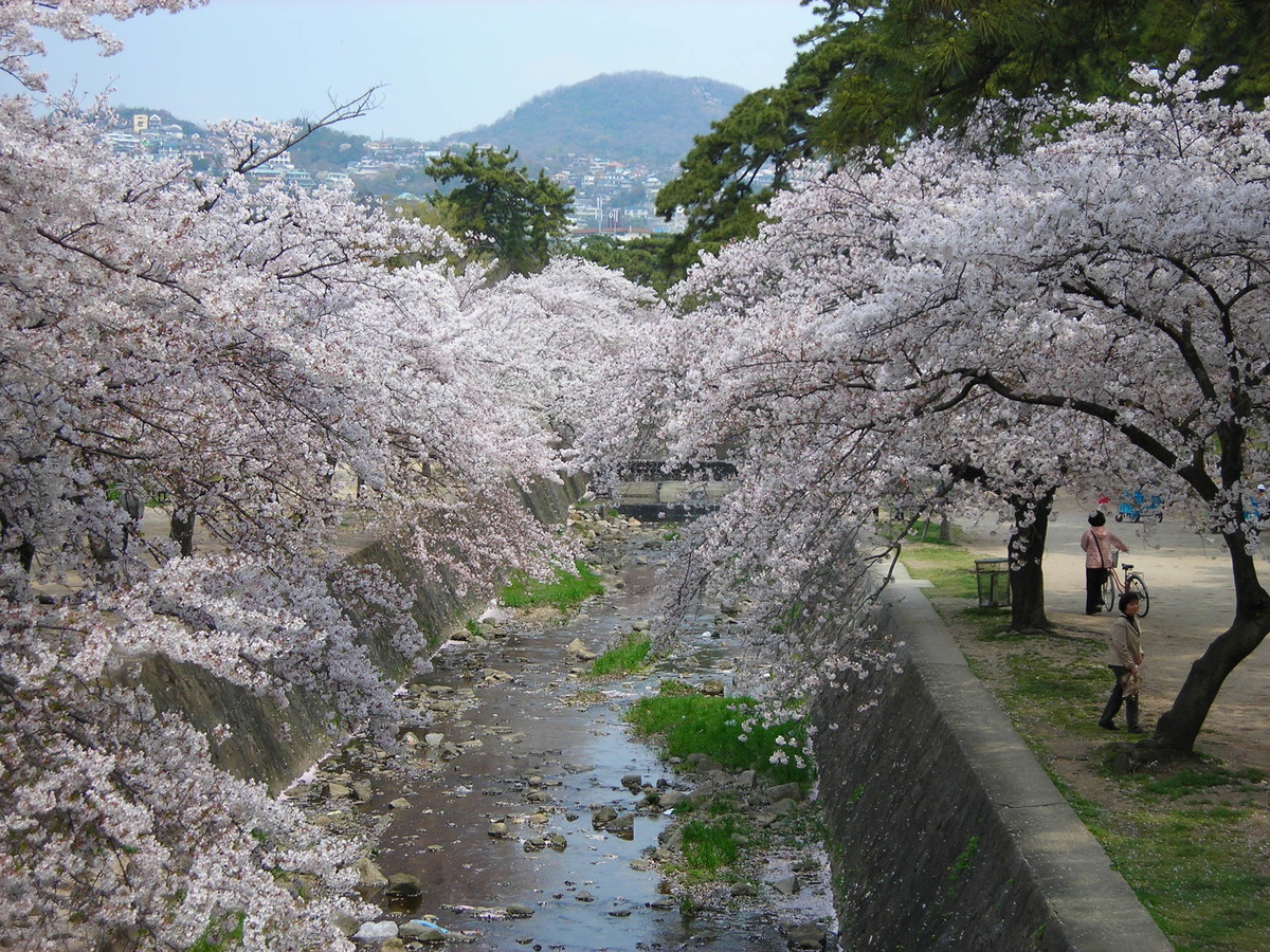 f:id:chinkido:20070411105145j:plain f:id:chinkido:20070411105145j:plain