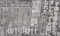 失言して失脚してく候補議員たちのぼやき　2014年9月19日朝日朝刊