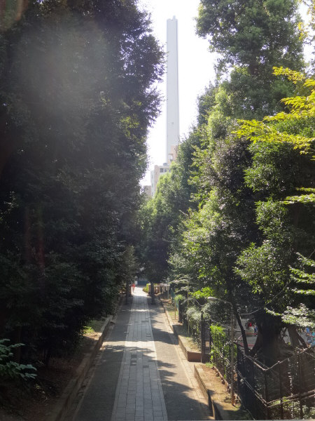 氷川神社