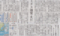 とりは風邪ひくと死んじゃうんだな　2014年11月30日朝日新聞