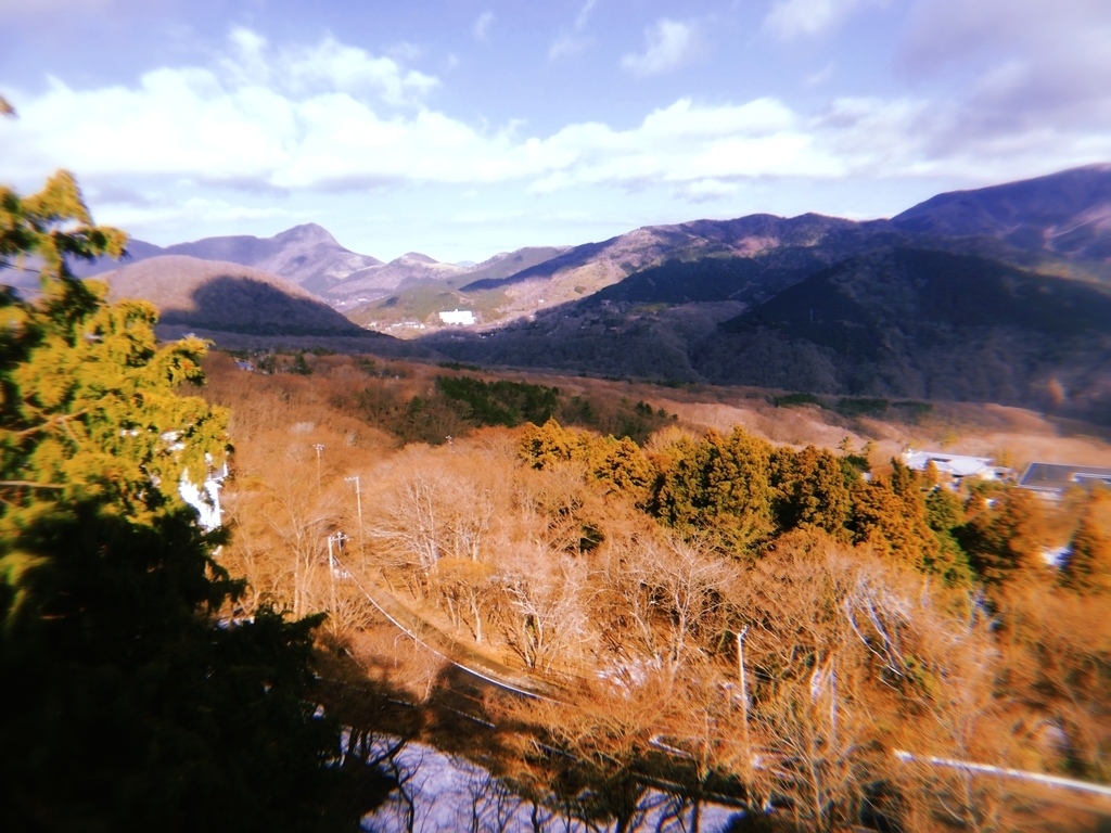 f:id:chinohirose:20190205032016j:plain