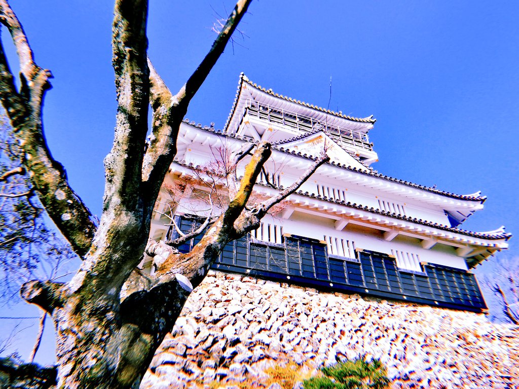 f:id:chinohirose:20200331000221j:plain