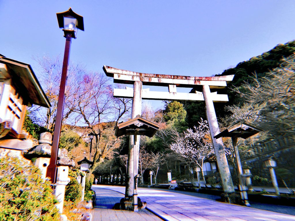 f:id:chinohirose:20200331131933j:plain