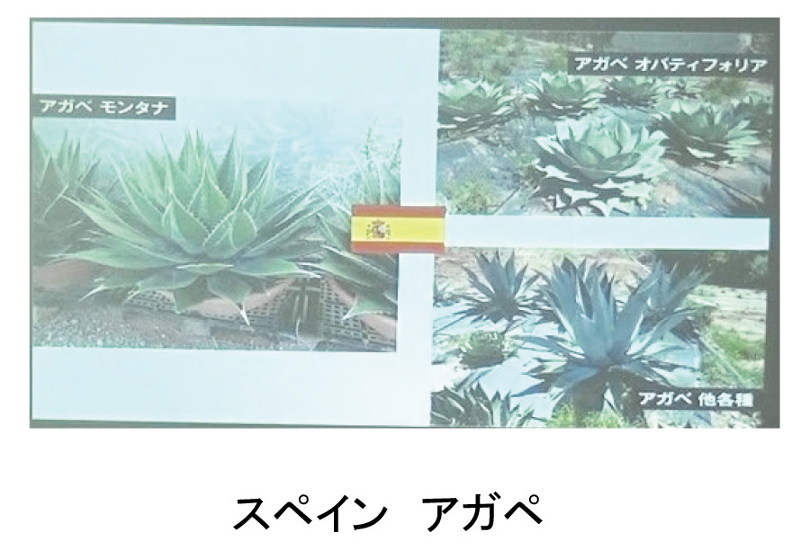 f:id:chinoki1:20190421223727j:plain f:id:chinoki1:20190421223727j:plain