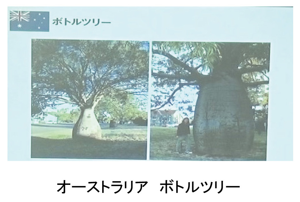 f:id:chinoki1:20190421223853j:plain f:id:chinoki1:20190421223853j:plain