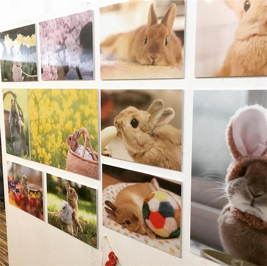 f:id:chinomia1204:20171008104636j:image