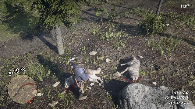 Rdr2 プレイ日記part45 ピアソン 東の伝説バッグ製作 レッドデッドリデンプション2 日々のゲームの何かしら